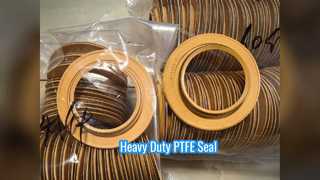Σφράγιση υδραυλικού κυλίνδρου από PTFE Oil Seal Heavy Machinery